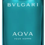 Туалетна вода для чоловіків BVLGARI Aqva Pour Homme 100 мл